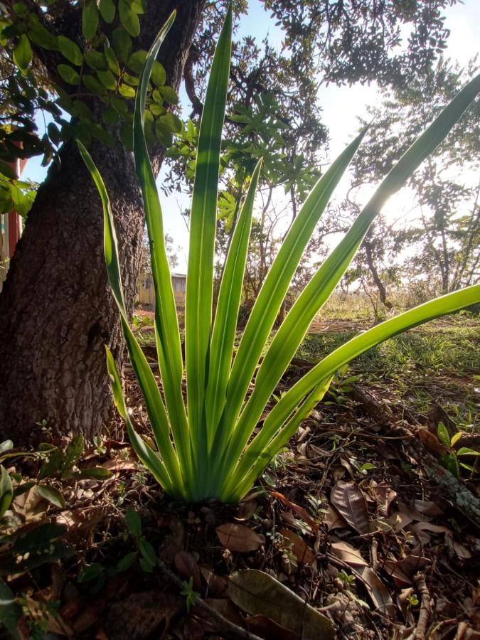 Chale Aconchegante, Pertinho Da Cidade E Conectada A Natureza Brasilia Exterior foto