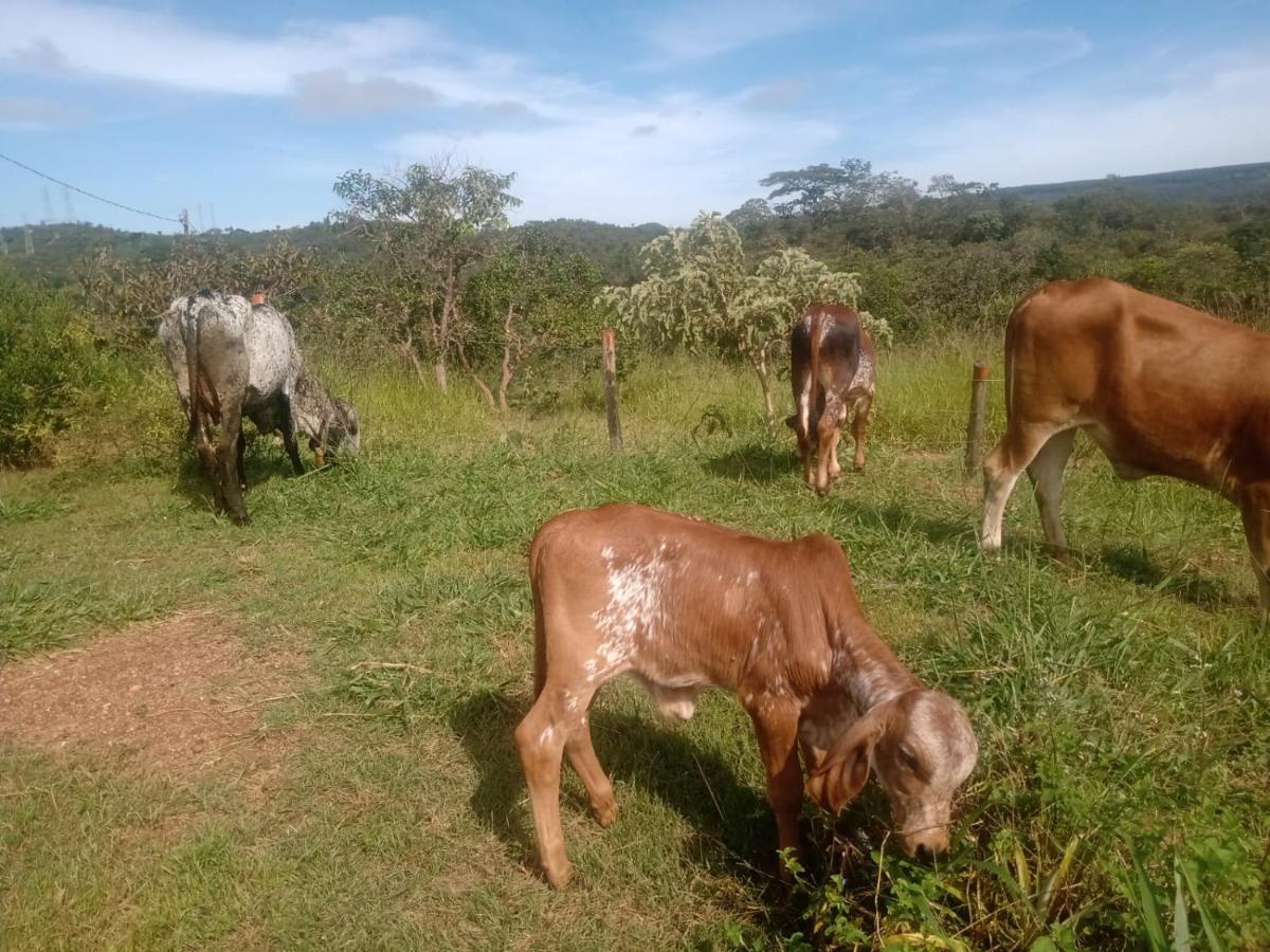Chale Aconchegante, Pertinho Da Cidade E Conectada A Natureza Brasilia Exterior foto